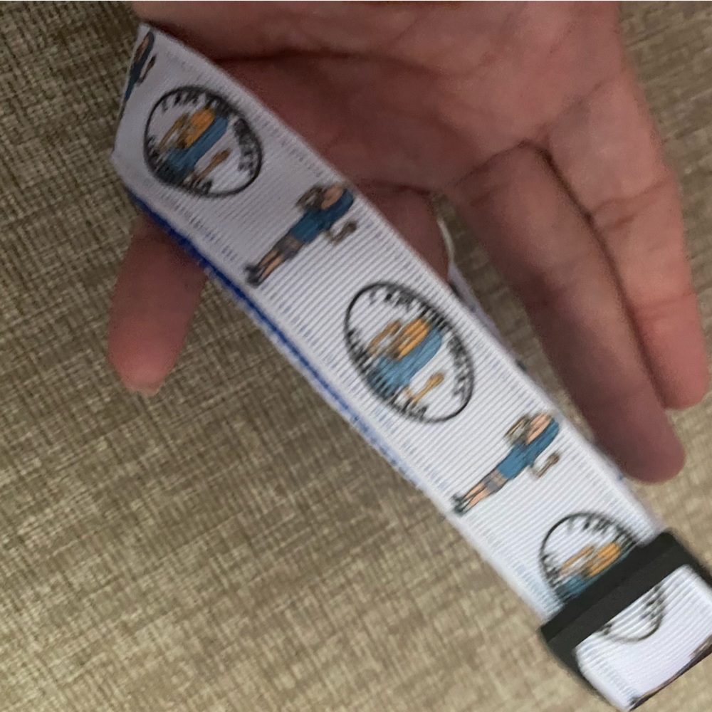 Butthead beavis cornholio dog collar mtv blue music comedy